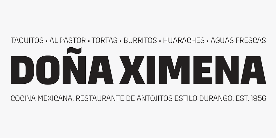 The project was finalized by Alfonso Garcia and the Latinotype team.
