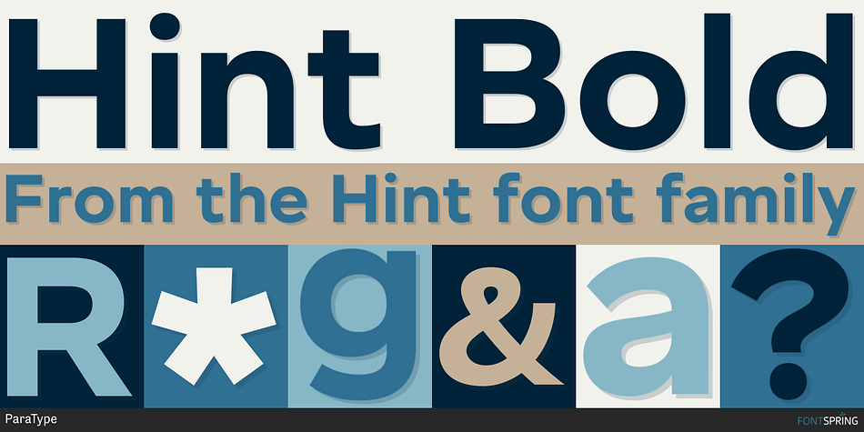 Hint Bold Font