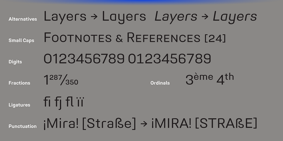 It is packed with OpenType features like ligatures, small caps, 4 sets of digits, 2 stylistic sets, superiors and inferiors, fractions, ordinals, respective punctuation varieties including all-cap punctuation, as well as language-specific alternates.