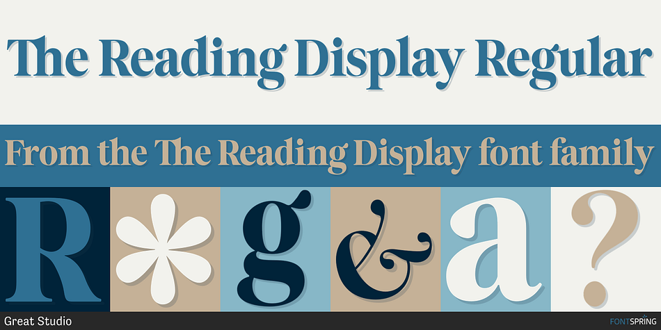 The Reading Display Regular Font