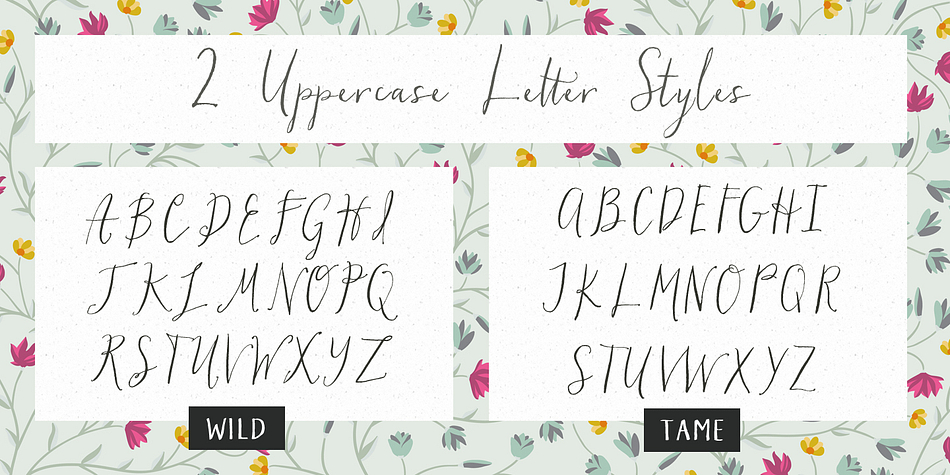Or, install the separate Hollyhock Ornaments font to access the swashes and doodles more easily.