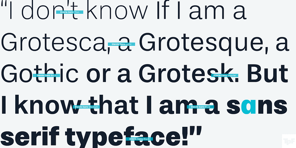 Displaying the beauty and characteristics of the Stevie Sans font family.
