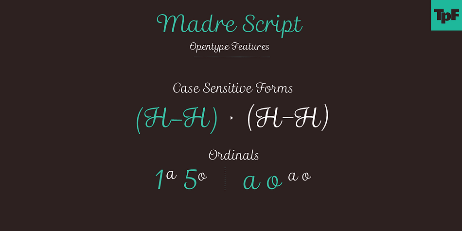 Highlighting the Madre Script font family.