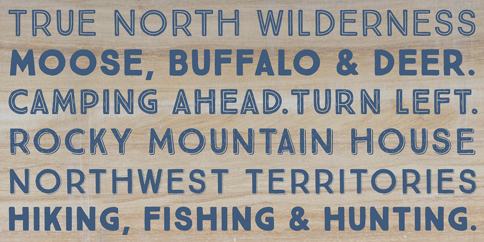 Emphasizing the popular True North font family.