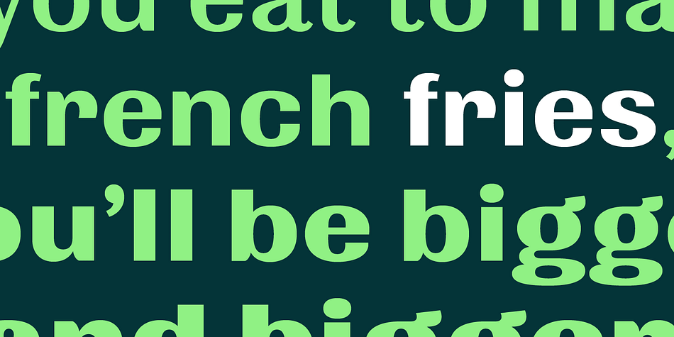 Highlighting the Quilon font family.