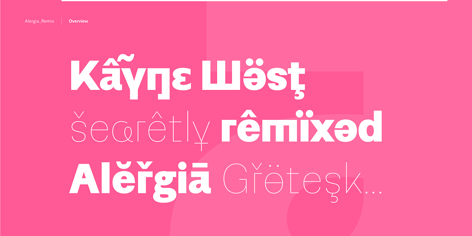 The remixed styles were made as a hybrid between a linear antiqua and a geometric display typeface.