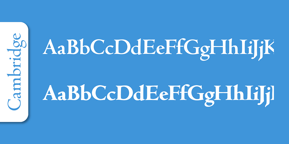 Emphasizing the popular Cambridge Serial font family.