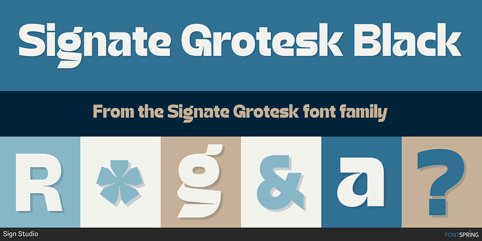 Signate Grotesk Black Font