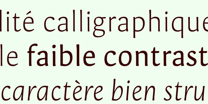 Highlighting the Orenga font family.