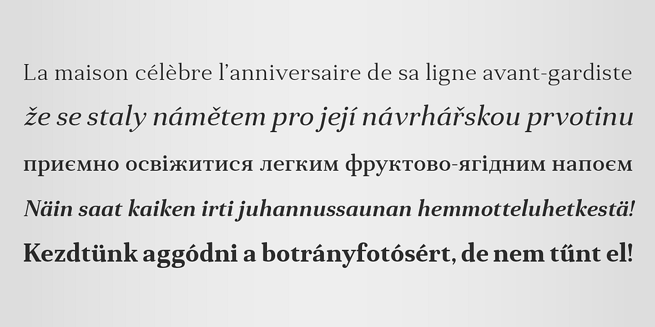 Altogether these three typefaces form 36 styles – each supporting numerous Latin-based languages as well as major Cyrillic languages.