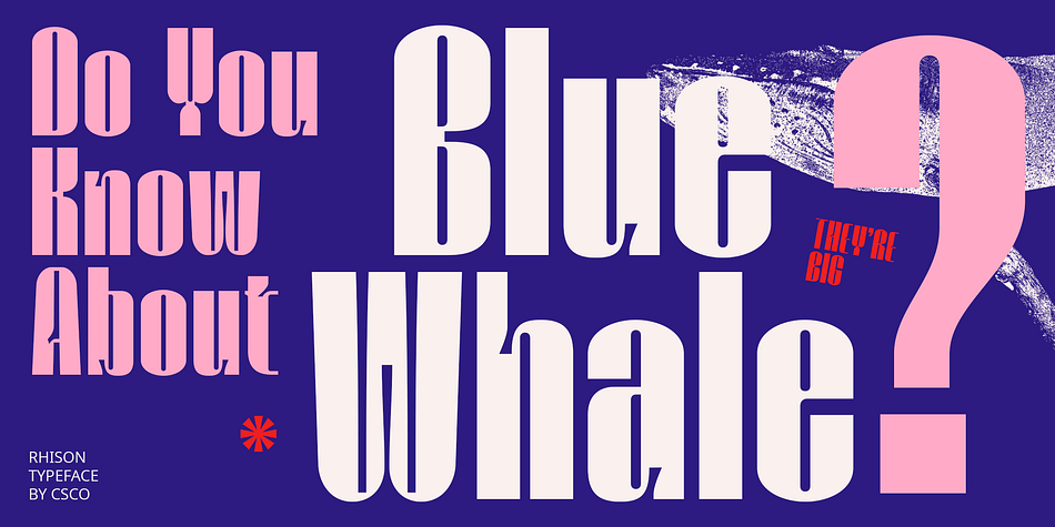 Rhison Font