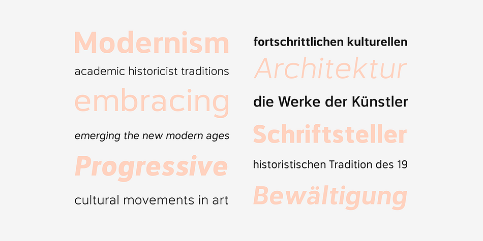The versatile traits are usable for many design applications as it comes with five weights from light to black plus matching italics.