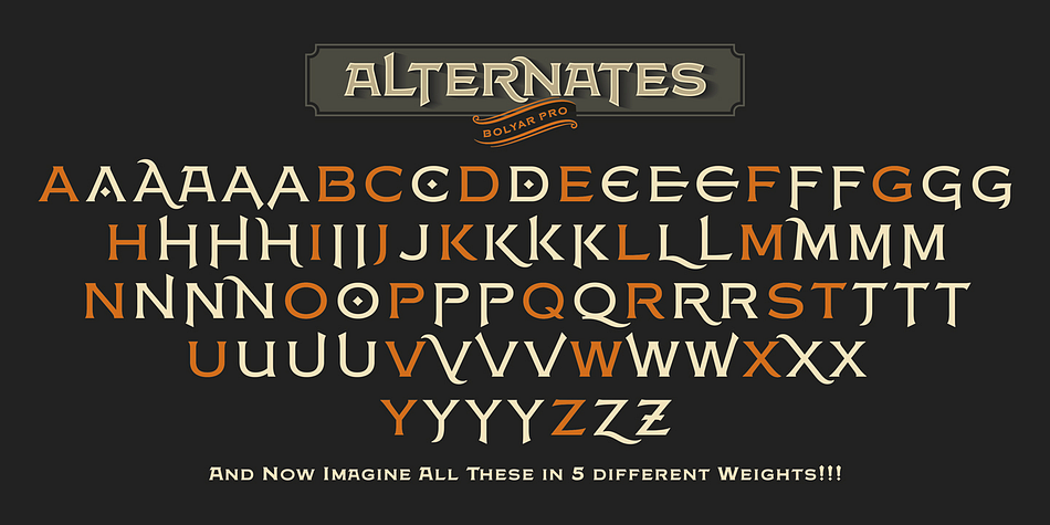FM Bolyar Pro font family sample image.