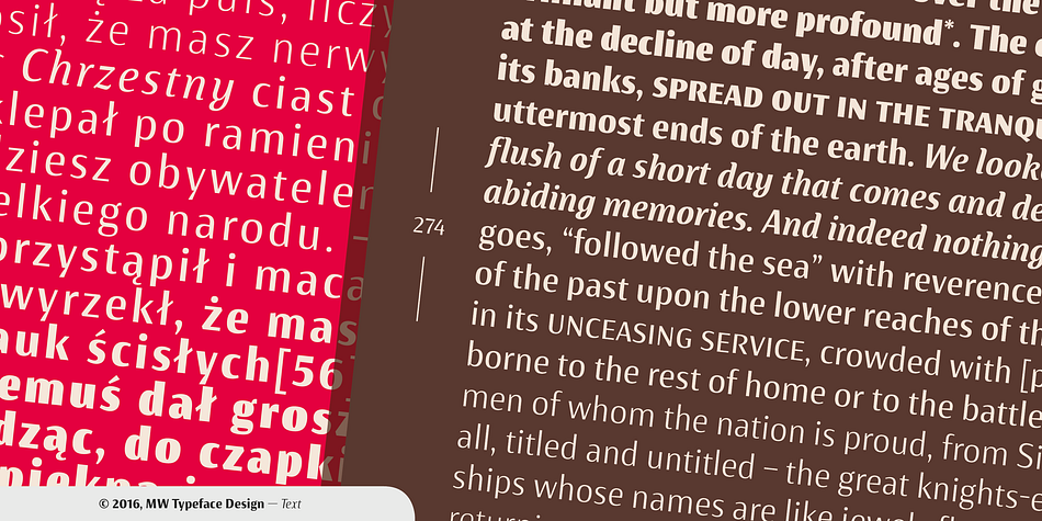 Whole family contains small caps, subscript, superscript, italics, fractions old style and tabular figures.