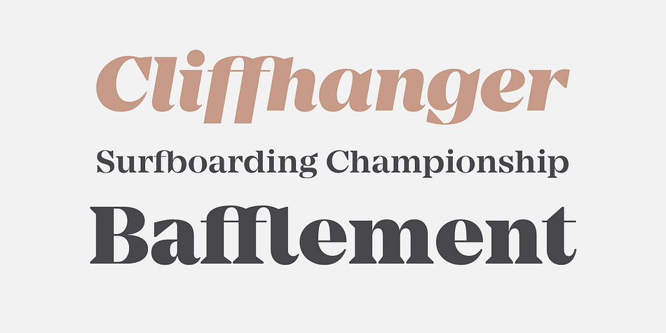 Emphasizing the popular Mirador font family.