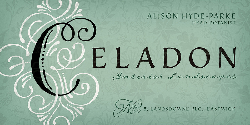 Emphasizing the popular Adorn Collection font family.