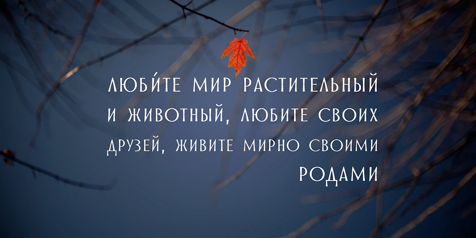 Gor font family sample image.
