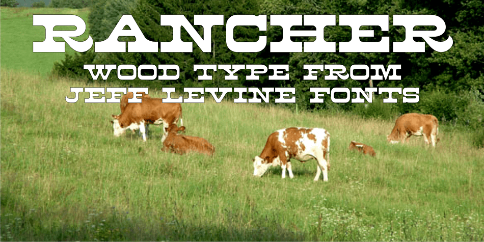 Displaying the beauty and characteristics of the Rancher JNL font family.