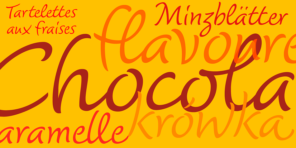 With the aim to analyze and summarize the qualities of these letterings in one typeface, I faced choices and limits similar to the ones encountered with handwriting.