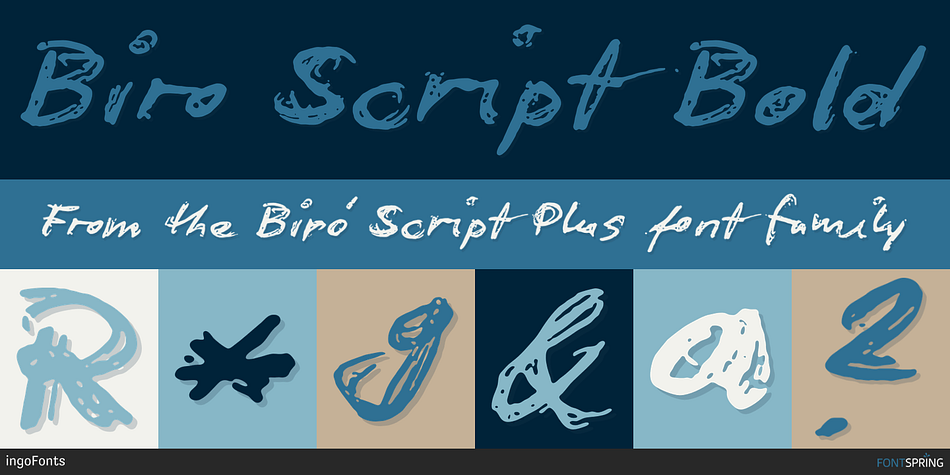 Biro Script Bold Font