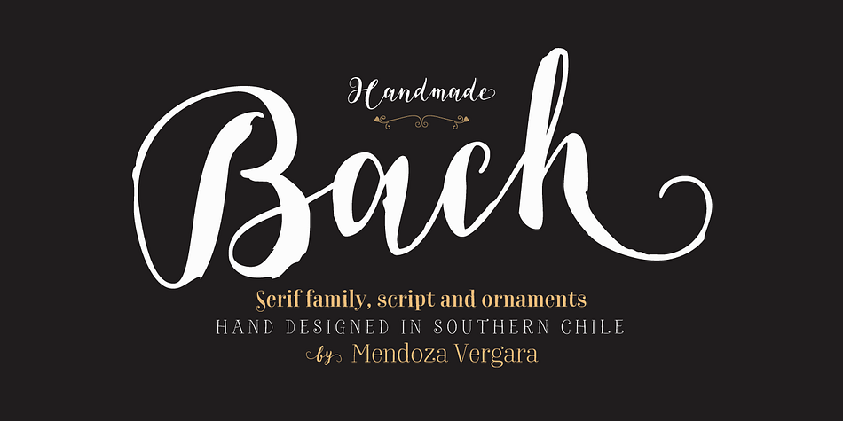 We have grown a new flower in our Garden, but this time, in a more emotional way, capturing its vibrations and using them to create a fresh handmade typeface: 