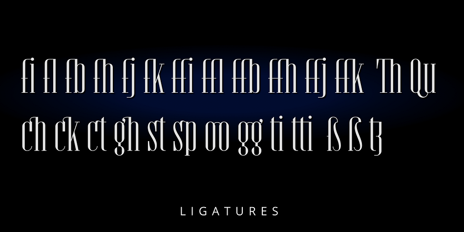 Each face comes with three additional font files at no additional cost: Oblique, Ligatures, and Ligatures Oblique.