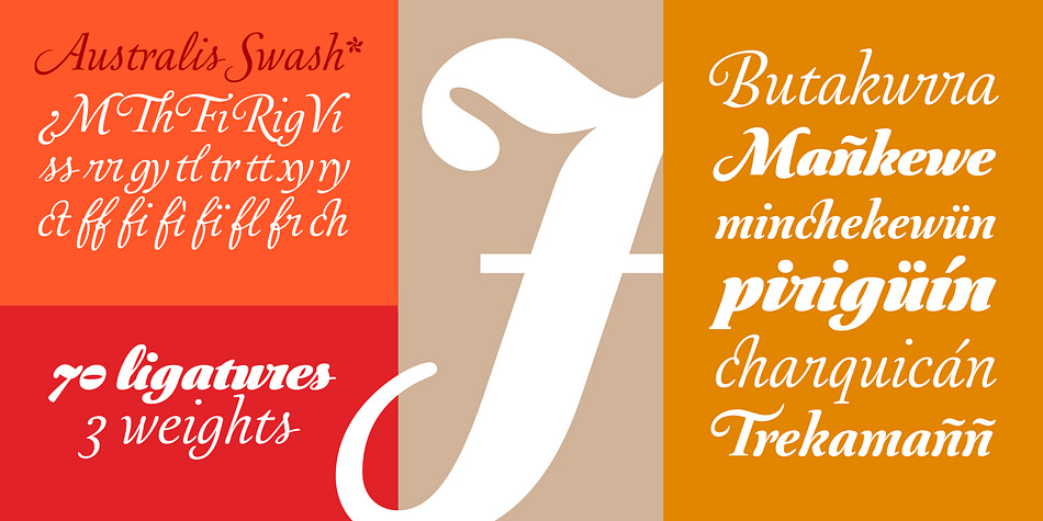 Australis Pro Swash font family sample image.