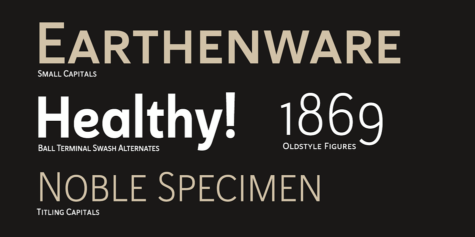 Haboro Sans contains special glyphs like Titling, Small Caps and Oldstyle figures that give your work just enough of a distinct touch.