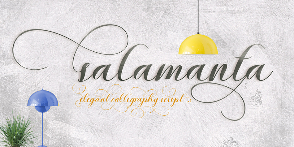 Salamanca Script is a beautiful modern calligraphy font.