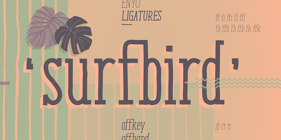 This neutral typeface includes 13 OpenType features including Stylistic Alternates, Oldstyle Figures and Standard Ligatures making this font a great value.