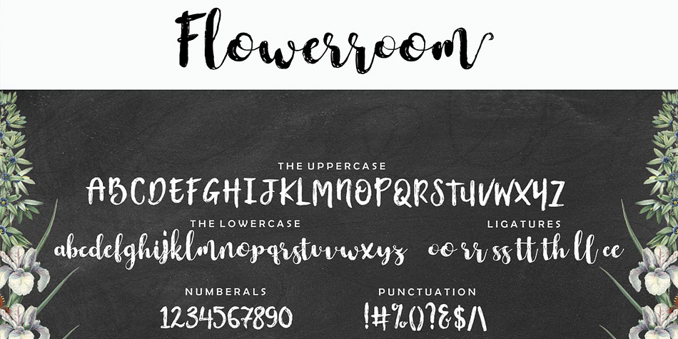 Opentype features with stylistic alternates, ligatures, and multiple language support.