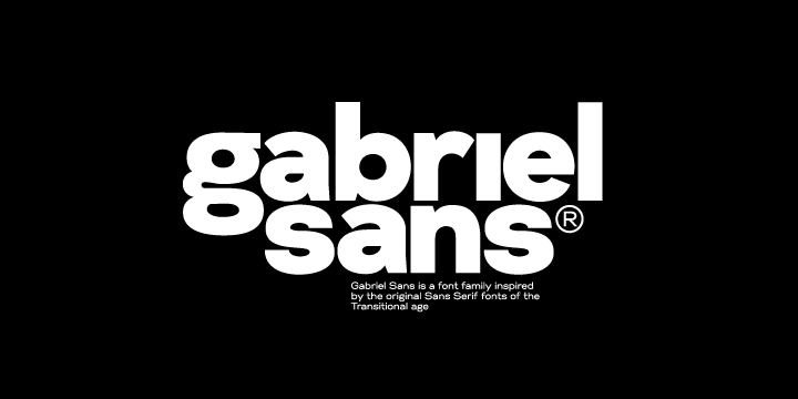 Displaying the beauty and characteristics of the Gabriel Sans font family.