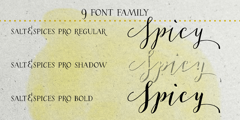 Salt & Spices Pro is a very versatile 9 font family, consisting of 3 casual styles: Regular, Bold and Shadow.