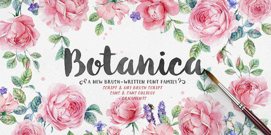 Botanica is a 100% brush written font family with inky texture that was inspired by modern trends in brush lettering and design.