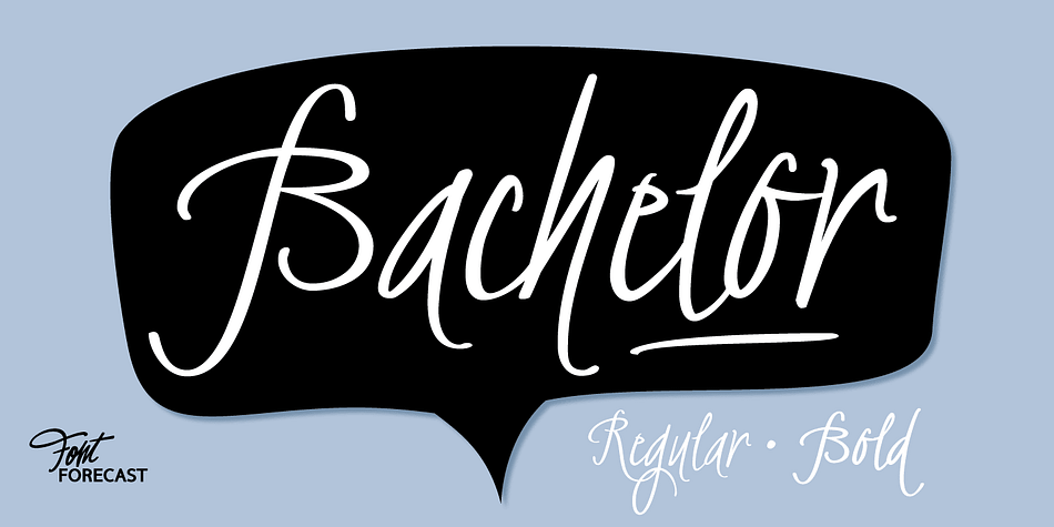 Displaying the beauty and characteristics of the BachelorScript font family.