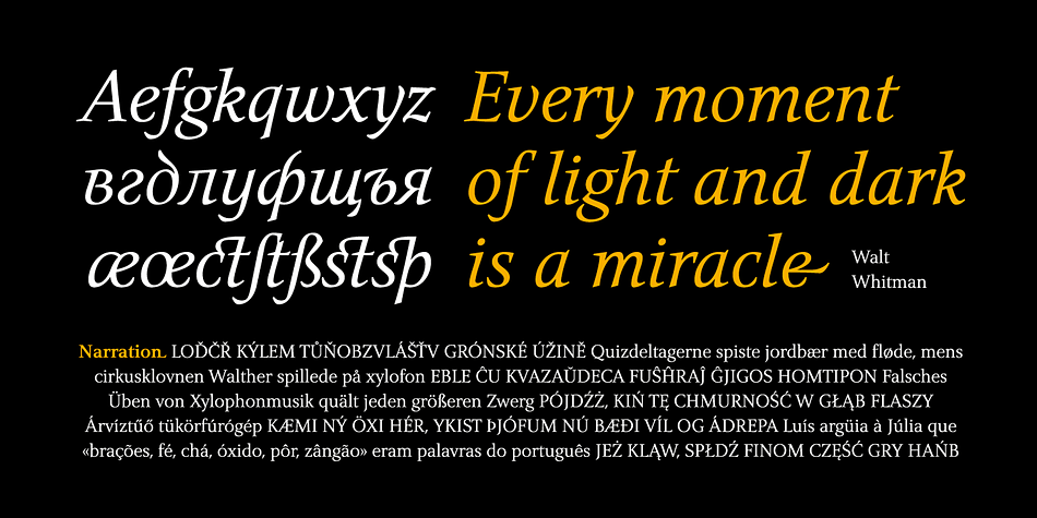 Highlighting the Narration font family.