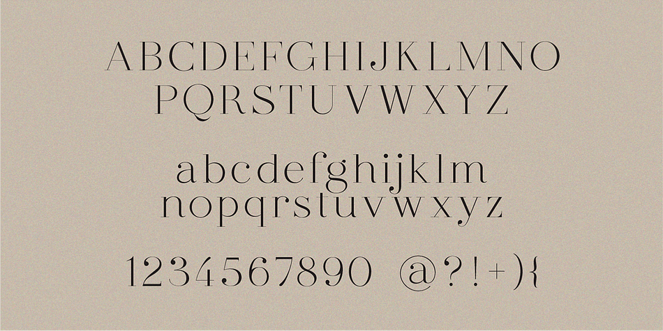 Dear Ivy, Font