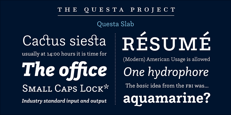 Highlighting the Questa Slab font family.