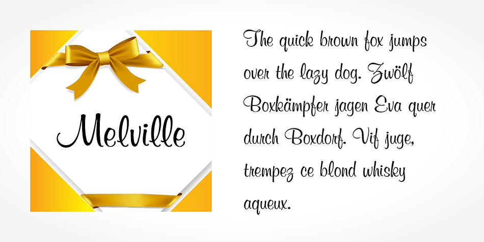 Emphasizing the popular Melville Pro font family.