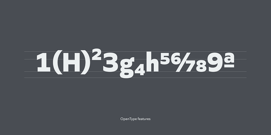 The basic concept of this family is not only to make crisp, sharp and strong impact by geometric letter form but also to be legible and readable even on small size screen by their sophisticated design.