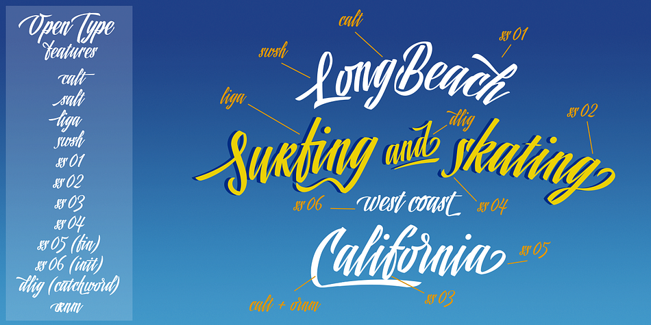 This brush style typeface is the perfect blend of elegance and spontaneity.