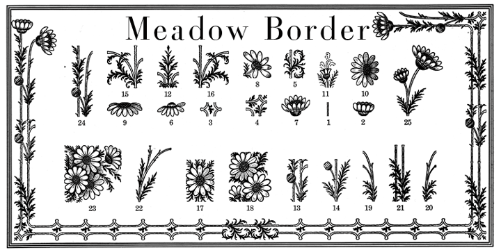 Great borders made out of thistles, teasles and flowers from the meadows of Victorian times by Gert Wiescher.