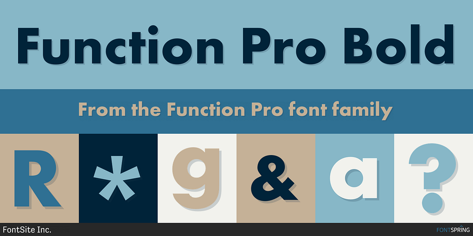 Function Pro Bold Font