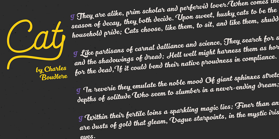 Highlighting the Kitten font family.