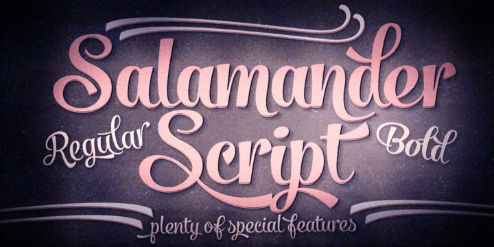 Salamander is a playful and agile script family of two weights and matching ornament sets.