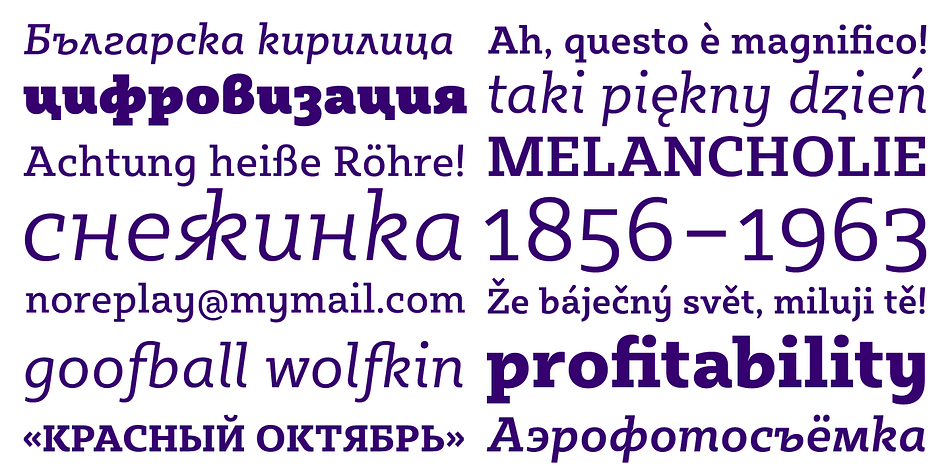 A true workhorse and superb text type family, Sybilla was especially designed with legibility in mind.