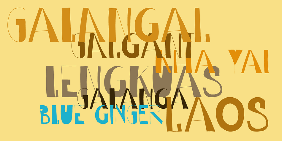 Galangal, or Laos, is a root belonging to the ginger family, which is used in Indonesian cuisine.