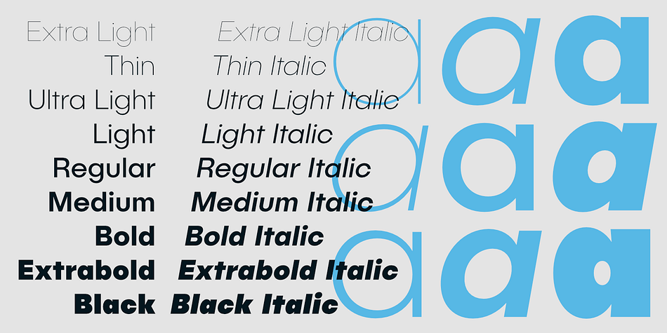Publica Sans is a workhorse – with loads of subtle open type features, tabular options, rare currencies signs and symbols and arrows, Publica Sans provides everything you need for big design tasks like signage or corporate design.