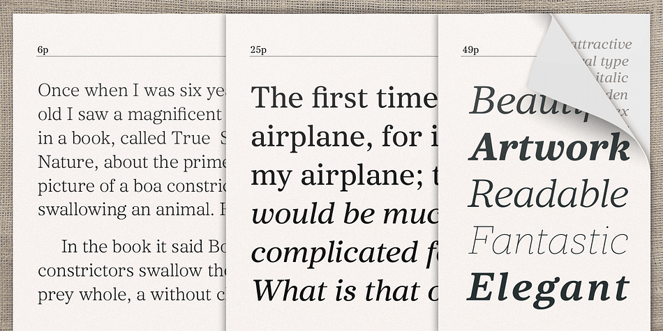 Core Serif N Family consists of 7 weights (Thin, Light, Regular, Medium, Bold, Heavy, Black), and Italics for each format.