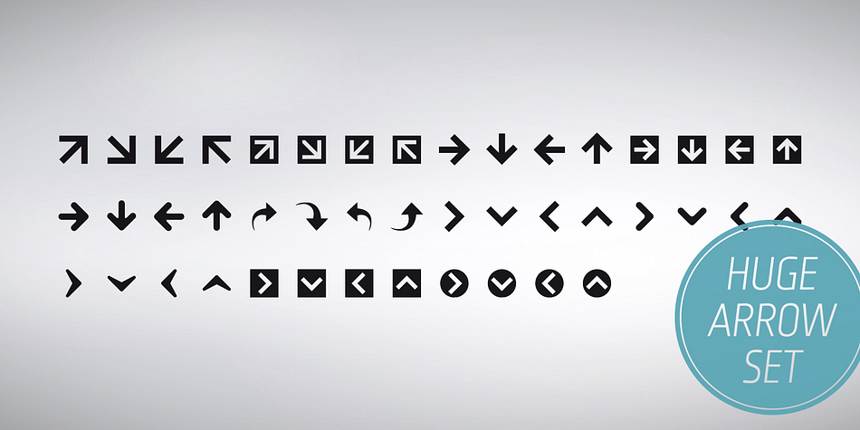 The font contains more than 220 icons like arrows, filetype-, 
media-, eCommerce-, network and devices-, contact-, 
service navigation- and social network-icons with a whole 
bunch of alternatives for each glyph.